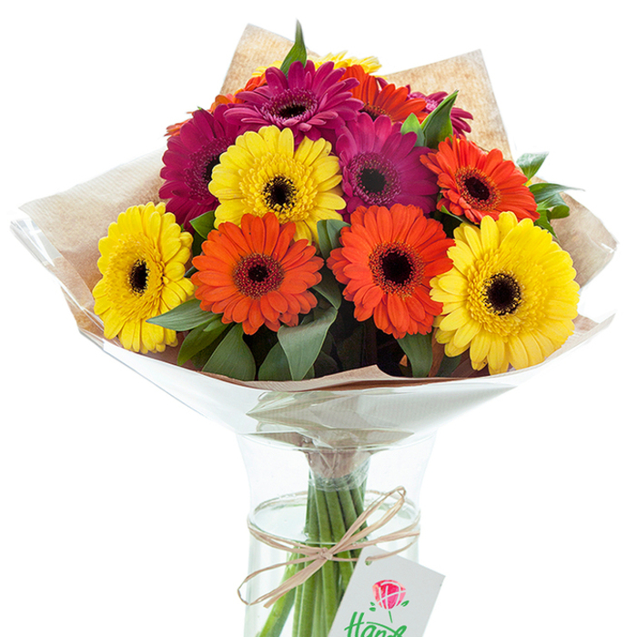 A jubilant bouquet of fresh, multi-hued Gerbera daisies commands attention against a crisp white backdrop, its glass vase placed as though awaiting a spot on a Poplar windowsill overlooking the canal. This lively arrangement, lovingly assembled by an expert florist, features an array of sunlit yellows, punchy oranges, and opulent magenta blossoms, each daisy radiating outward from a deeply toned, almost velvety-black center. The mix of petal colors mirrors the innocent joy of spring mornings in Poplar's parks and bustling moments at Chrisp Street Market. Deep green foliage threads its way between the faces of the blooms, providing a calming, organic counterpoint to the vivid display. The bouquet's upper half is enveloped in naturally-hued kraft paper, its tactile texture reminiscent of handmade market bags, and then finished with a layer of shimmering, clear cellophane that forms an iconic, flared silhouette around the stems. Fresh water fills the base of the slightly hourglass-shaped vase, sustaining the long, healthy stems, which are tastefully bound together just inside by a tie of soft brown twine. Dangling gently from the knot sits a smooth white tag imprinted with a stylized red rose, suggesting the thoughtful gift-giving intent behind each order. This image effortlessly conjures the spirit of celebration, whether for birthdays, new beginnings, or simply to uplift a loved one in Poplar, making it an ideal visual for local flower delivery or a story about bespoke blooms in East London.