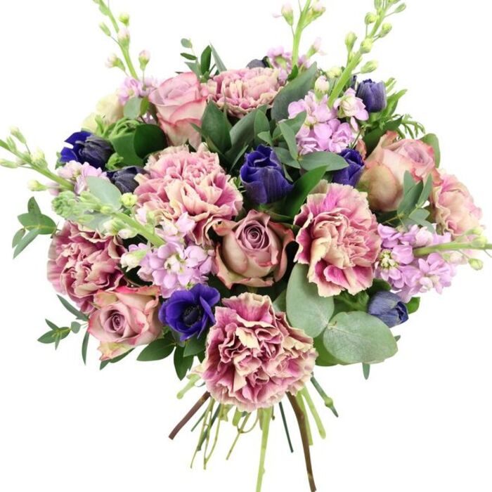 Against a spotless white background, this hand-tied bouquet appears almost sculptural, every bloom deliberately placed to highlight colour and form. At the core are several large garden roses in soft blush, dusty rose, and antique mauve tones, their petals tightly layered at the centre and loosening at the outer edge, creating a sumptuous, romantic focal point. Intertwined with them, frilled carnations add generous texture; each petal ripples from a creamy, almost vanilla base into blush pink and finally deeper rose or plum along the ruffled edges, lending depth and visual interest. Cutting through these warm hues are powerful accents of blue: a striking royal blue anemone with a velvety, dark centre sits low in the design, while nearby, deep indigo, tulip-shaped buds rise in graceful arcs, giving the bouquet a subtle, contemporary twist. Slender spires of lilac and pale lavender stock flowers lift the eye upward, their many small blossoms forming delicate columns of colour that lighten the overall look. Framing the composition is a rich mix of foliage-broad, deep-green leaves and distinctive, silvery-green eucalyptus discs that add a cool, aromatic element and modern texture often favoured by Poplar clients ordering flowers to brighten apartments overlooking the docks. The stems are left visible and neatly bound, a classic sign of a fresh, hand-crafted bouquet rather than a mass-produced piece. With its blend of romantic pinks, serene purples, dramatic blues and refreshing greens, this arrangement feels ideal for weddings, anniversaries, or thoughtful gifts delivered across Poplar, from Limehouse to Blackwall, wherever a touch of elegance and comfort is needed.